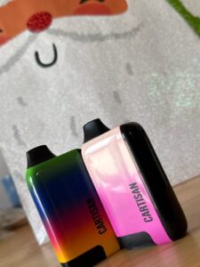 Cartisan EVO battery